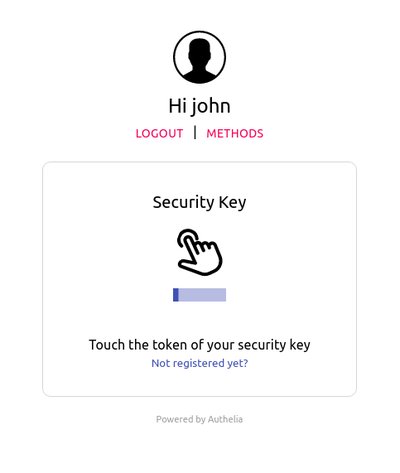 2FA WebAuthn Authentication View